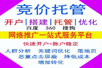 SEM托管公司成功案例：助力企业品牌提升