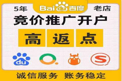 百度推广公司案例解析：如何通过百度推广实现品牌升级